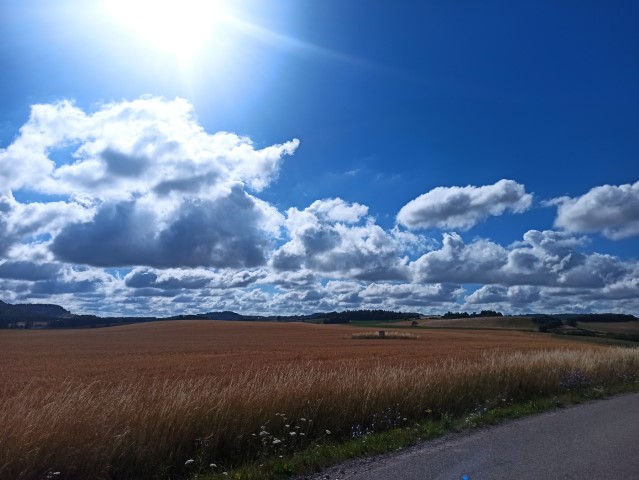 Stop near diebach